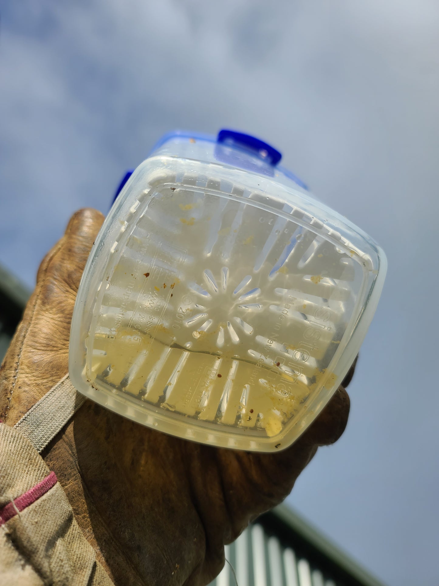 Varroa Mite Testing Bottle