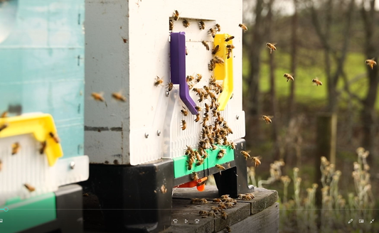 The Ceracell Hive Defender® Beehive Floor/Base