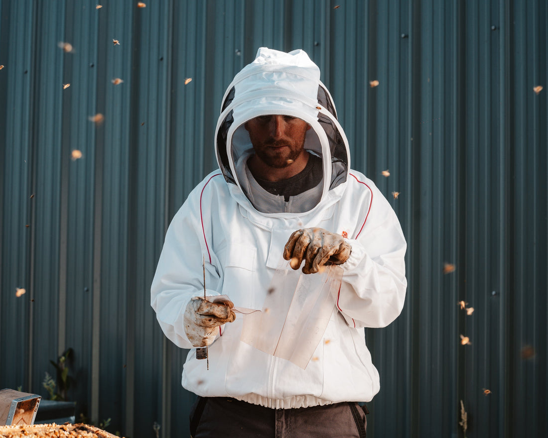 Experimentation in Beekeeping: Why Trying New Methods Can Strengthen Your Hives