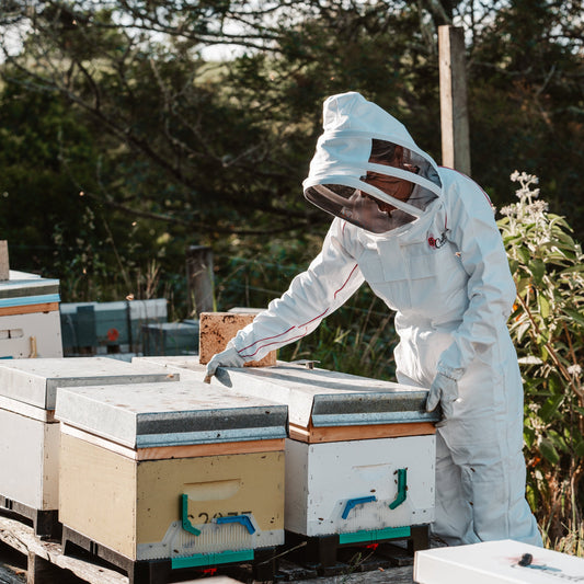 How to Use a Varroa Mite Test Bottle: A Guide for Australian Beekeepers
