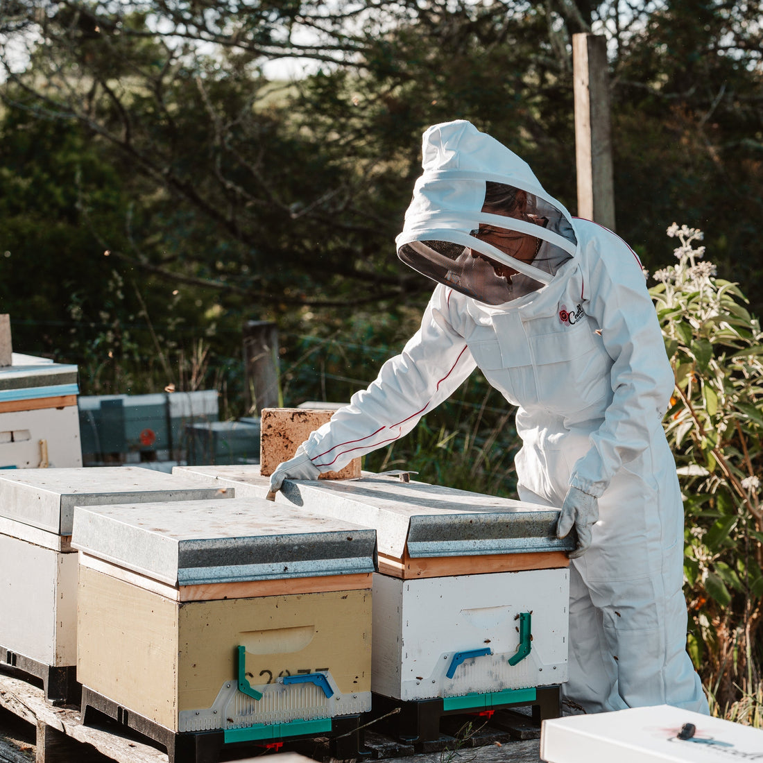 Hive Defender Floor: A Smarter First Line of Defence for Australian Beekeepers