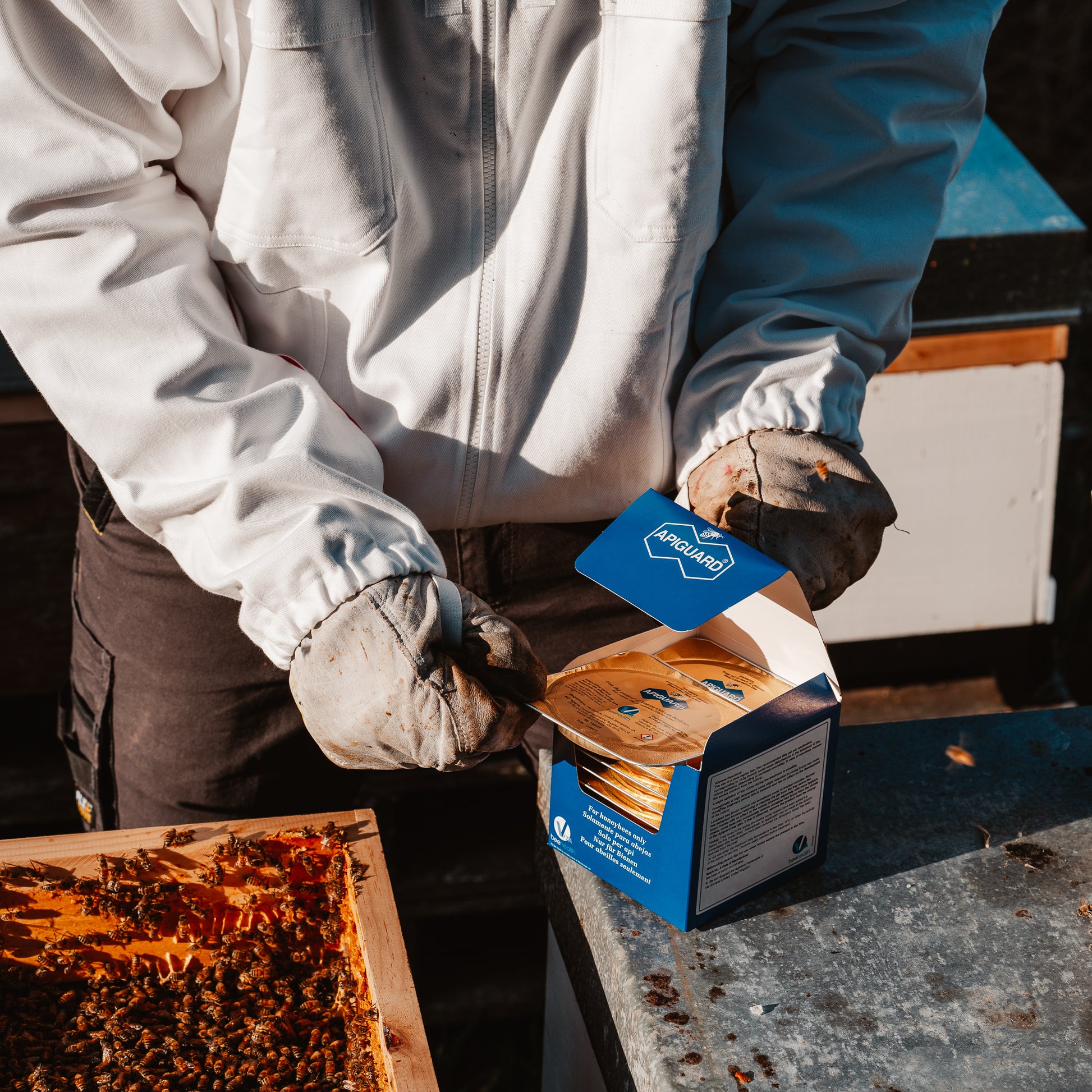 Apiguard - Packet of 10 x 50g Trays (Varroa Treatment)